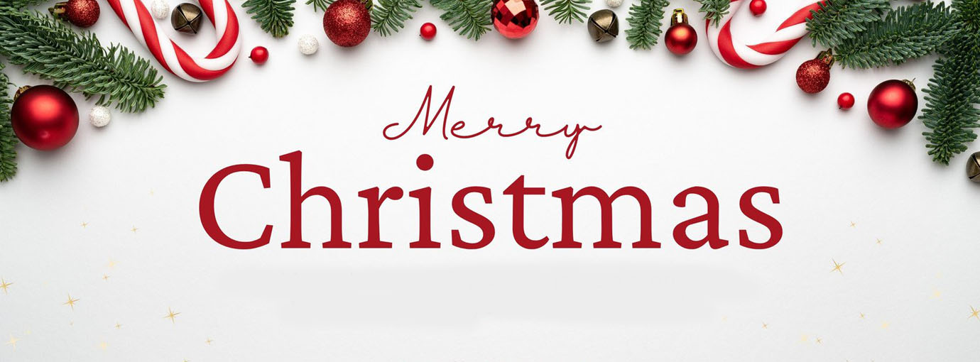 Bicis comercio -Bicis comercio 20 1